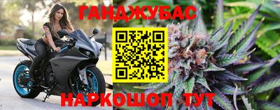 a pvp Камышлов