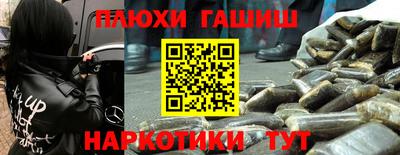 a pvp Камышлов