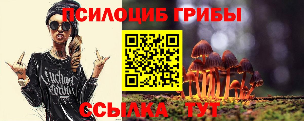 Галлюциногенные грибы GOLDEN TEACHER  Псилоцибиновые грибы MAGIC MUSHROOMS  Вход с VPN  Среднеуральск 